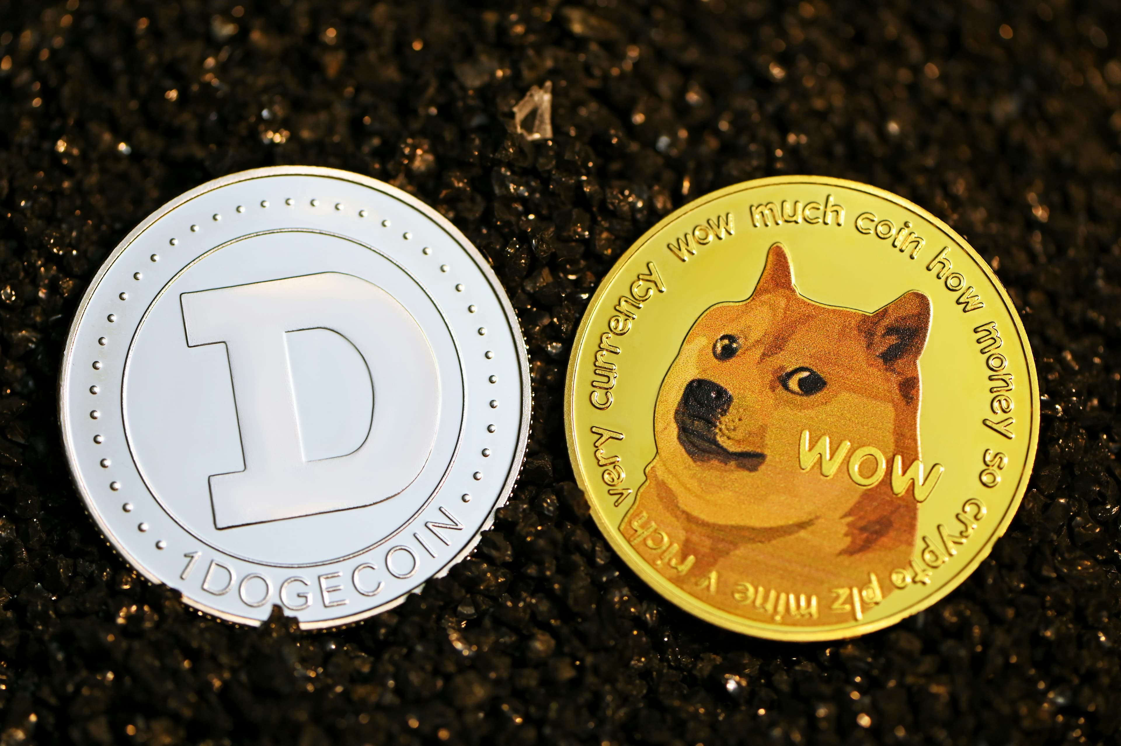 Etiquetas de Envio com Dogecoin: Como Usar DOGE para Enviar Pacotes em 2026